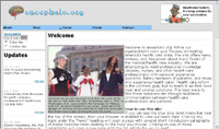 Web Design for Encephalo Institute